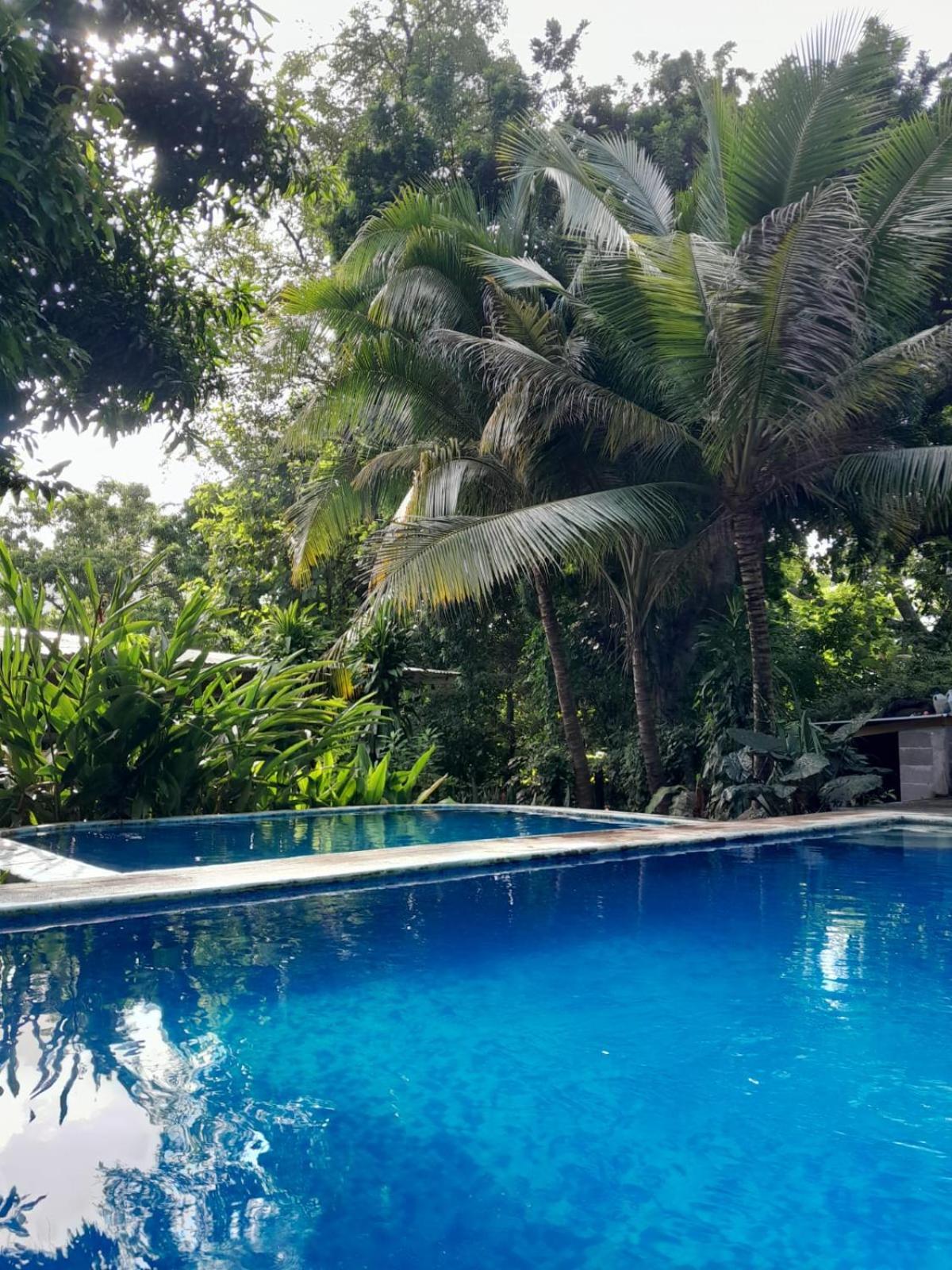 Апартаменты Hammock Plantation Эль-Сонте Экстерьер фото